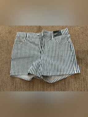 Express Vintage Short